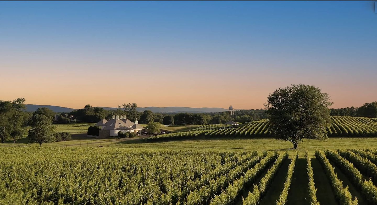 Winery