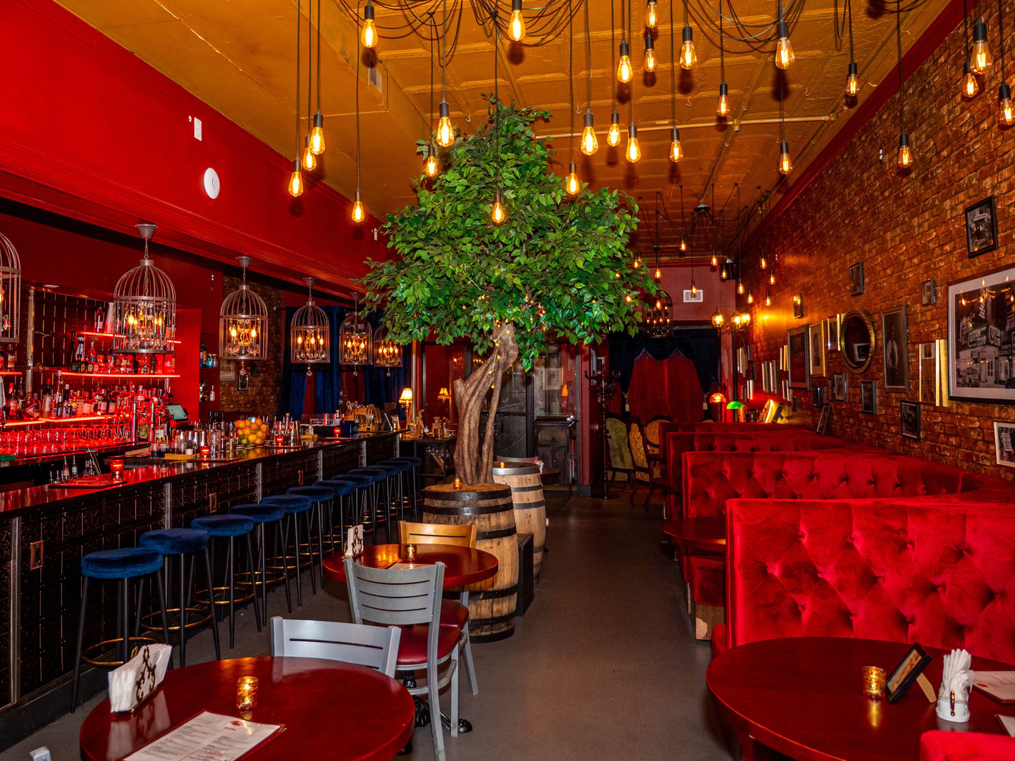 Speakeasy 