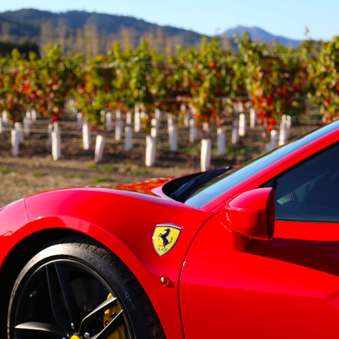 Ferrari up close