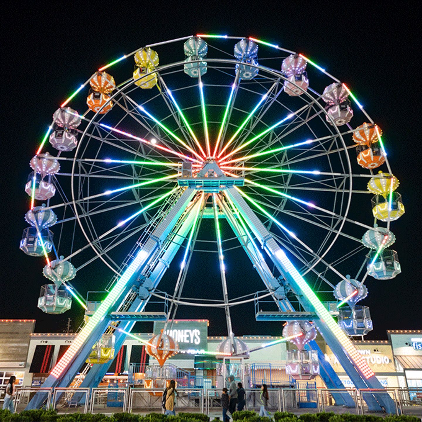 Ferris Wheel at Night