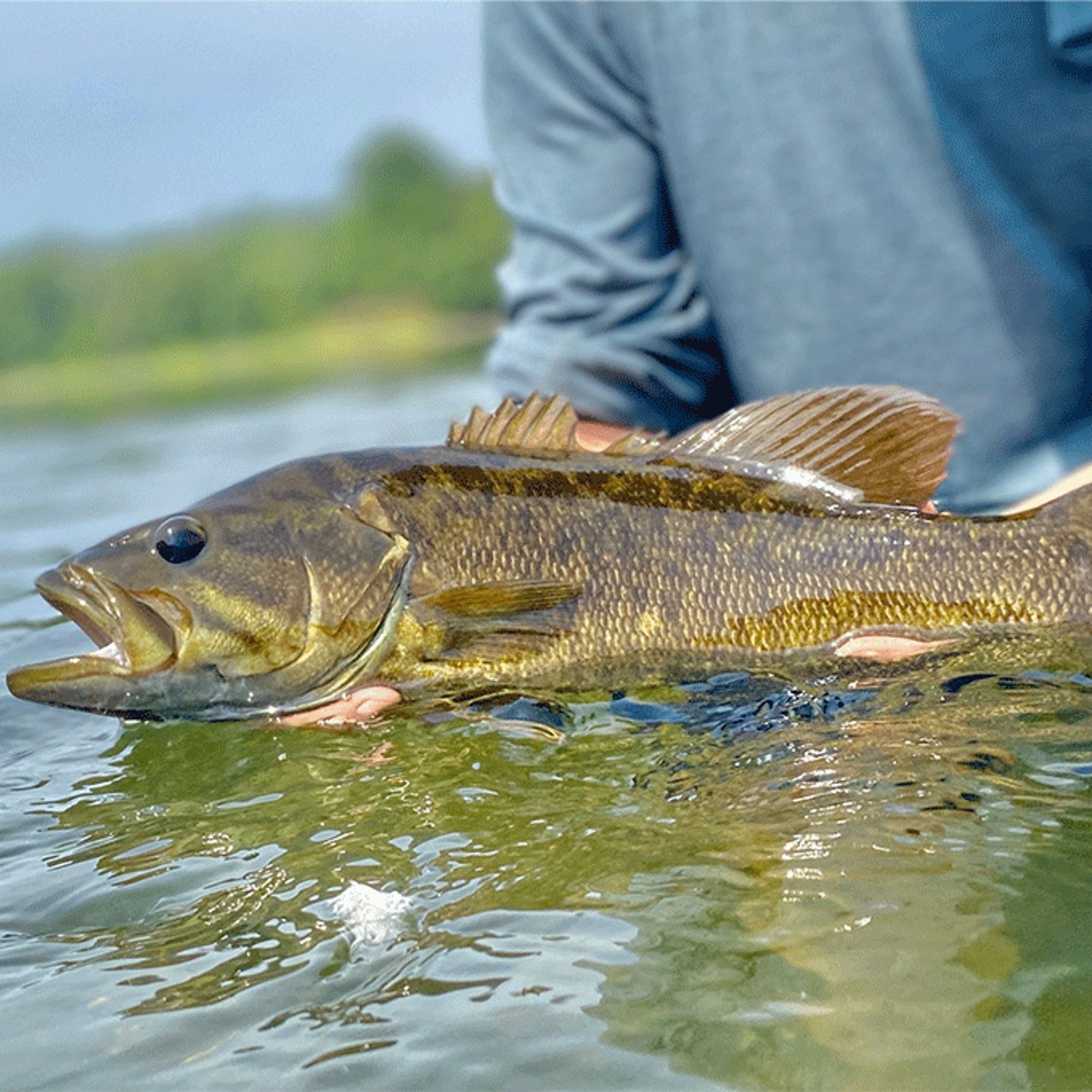 On-Stream Fly Fishing 