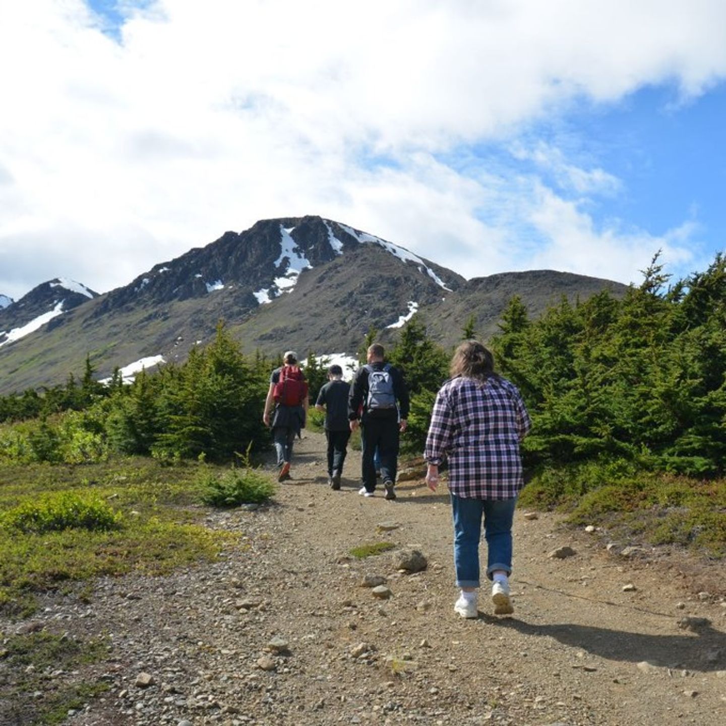 Group walking on trail