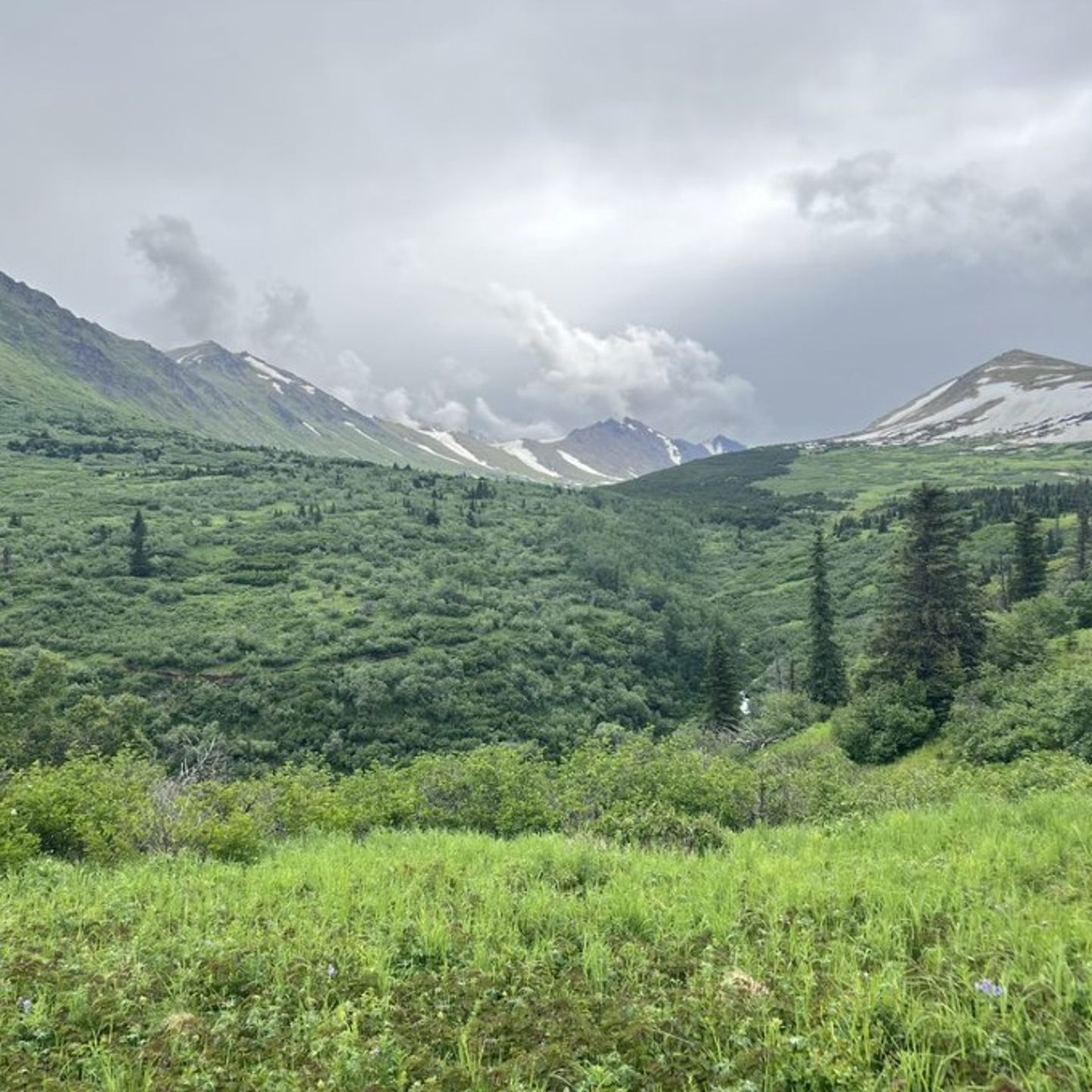 Green mountains