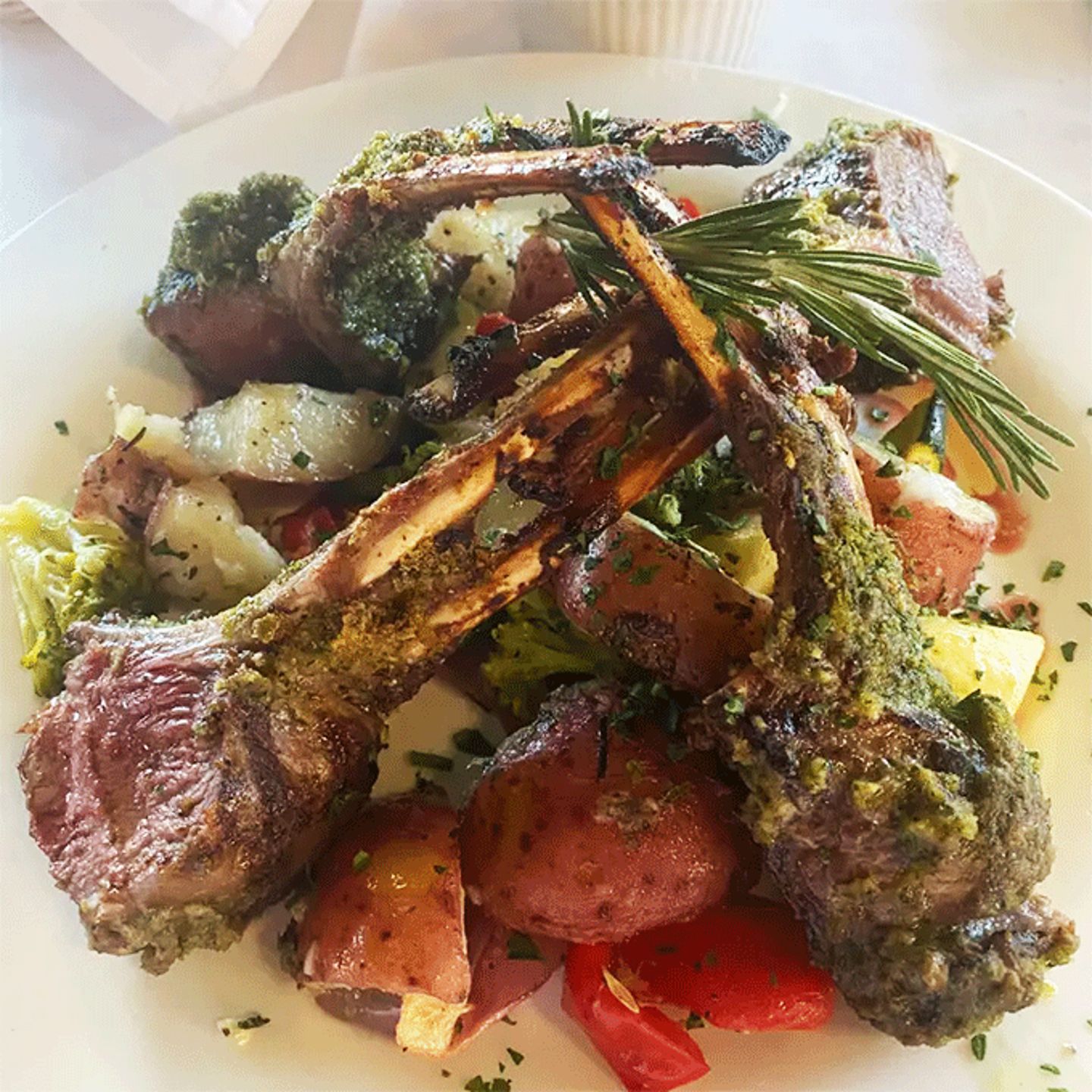 Bevardi's Salute Expereince