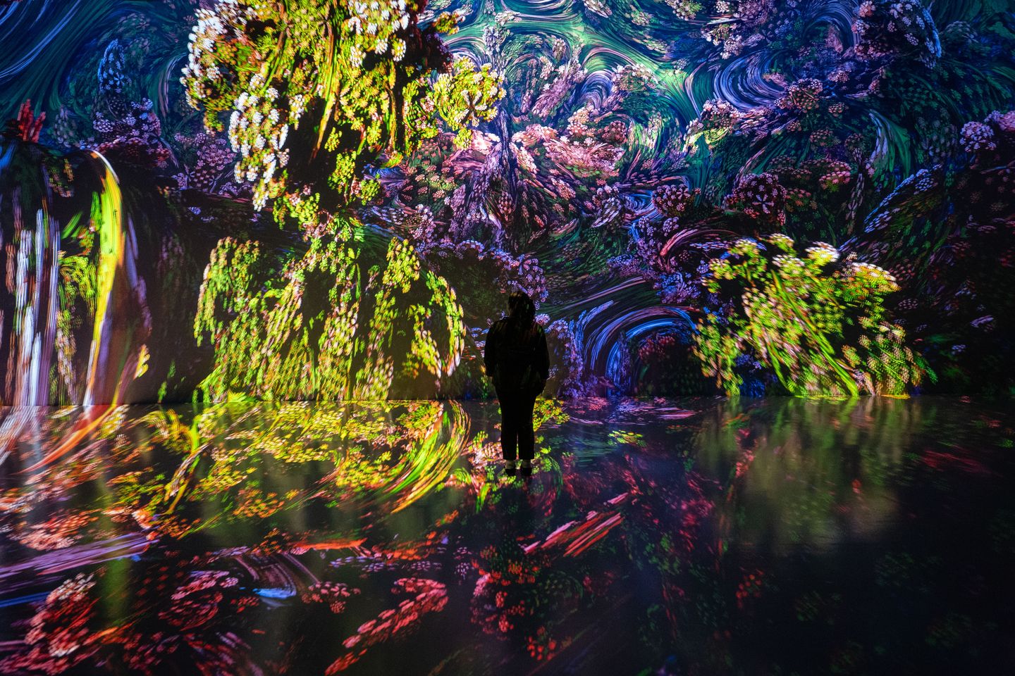 Fractal Worlds Exhibit
