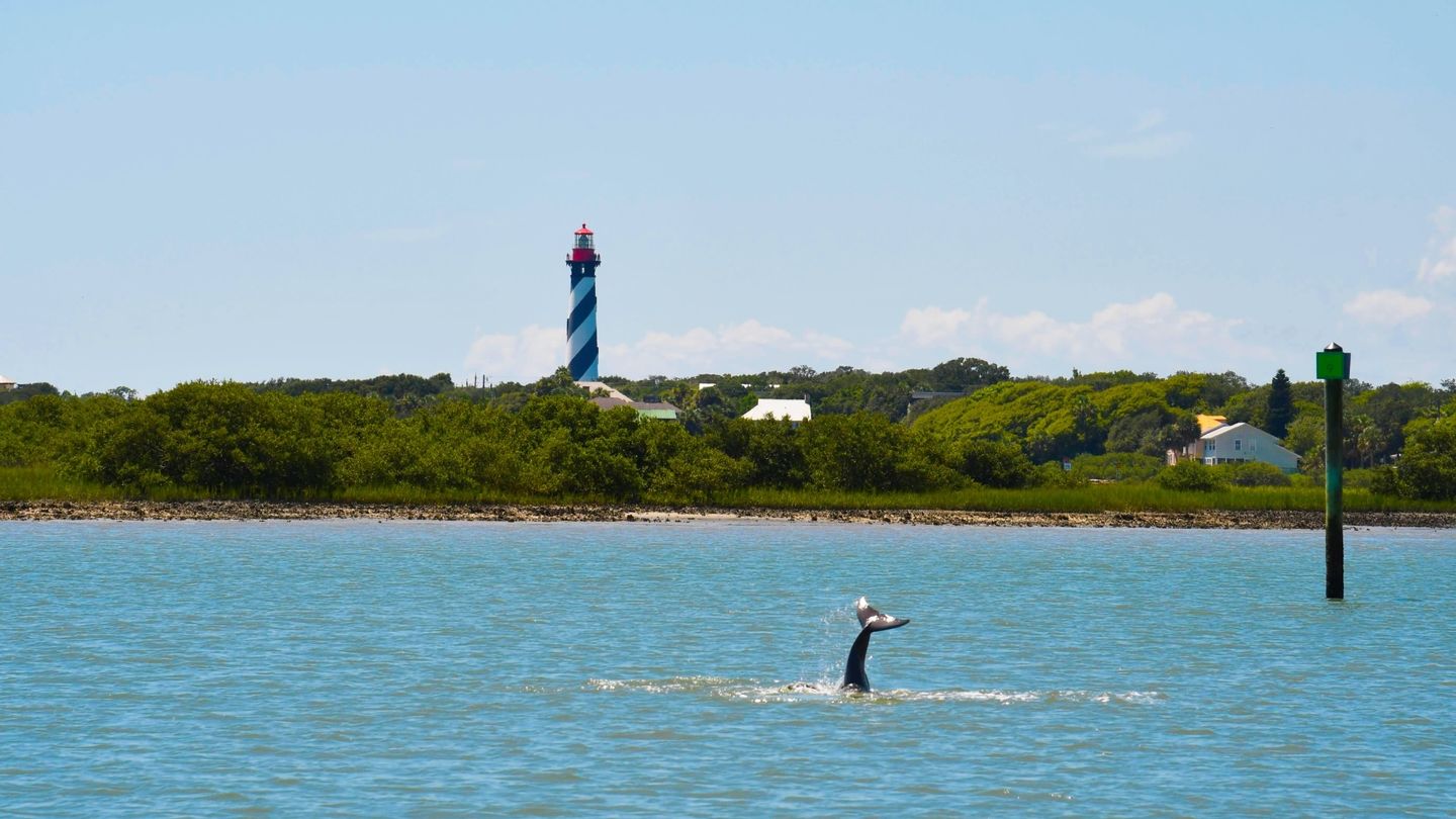 Dolphin in front of lighthouse