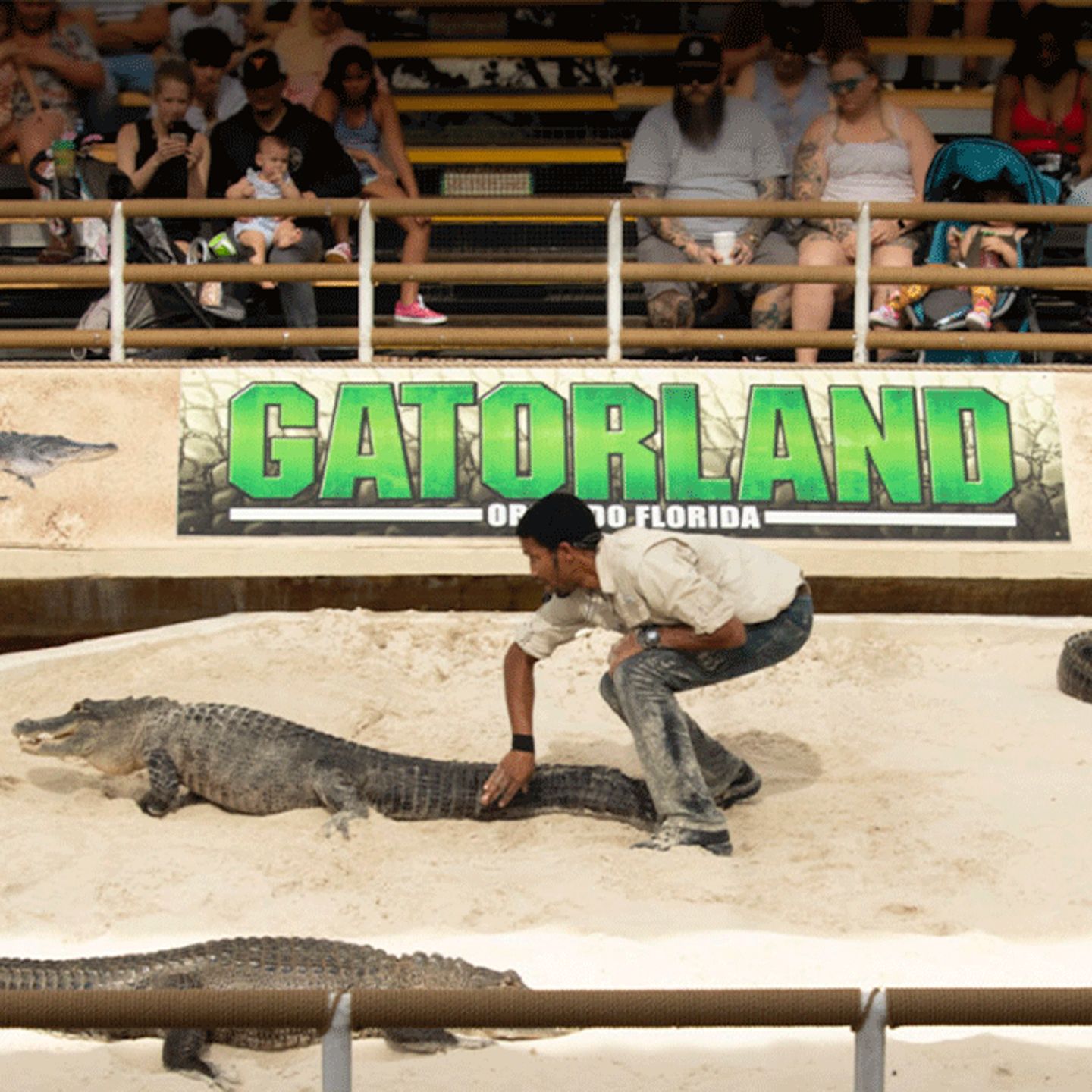 Gatorland