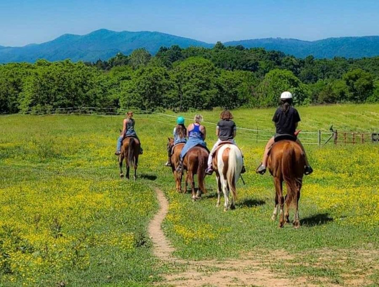 People riding horses in field