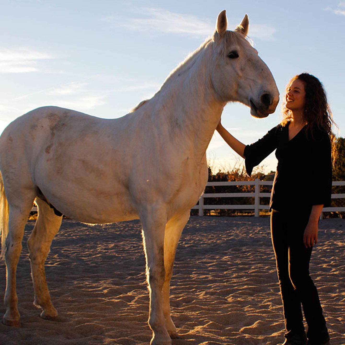 Horse Experience in Colorado