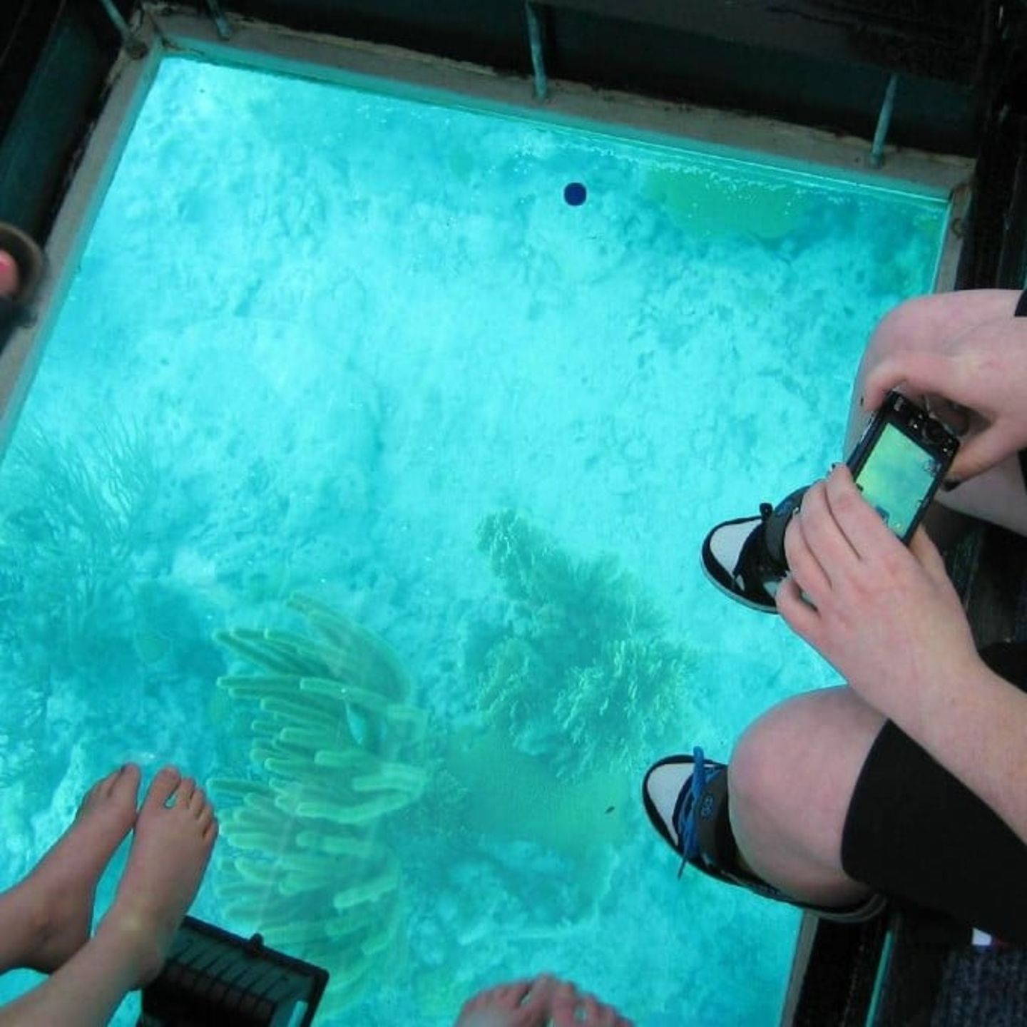 Glass bottom of boat