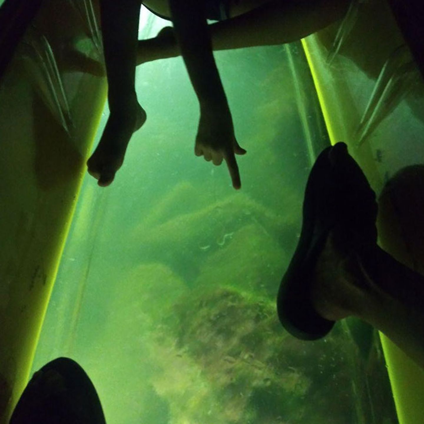 Glass Bottom Kayak