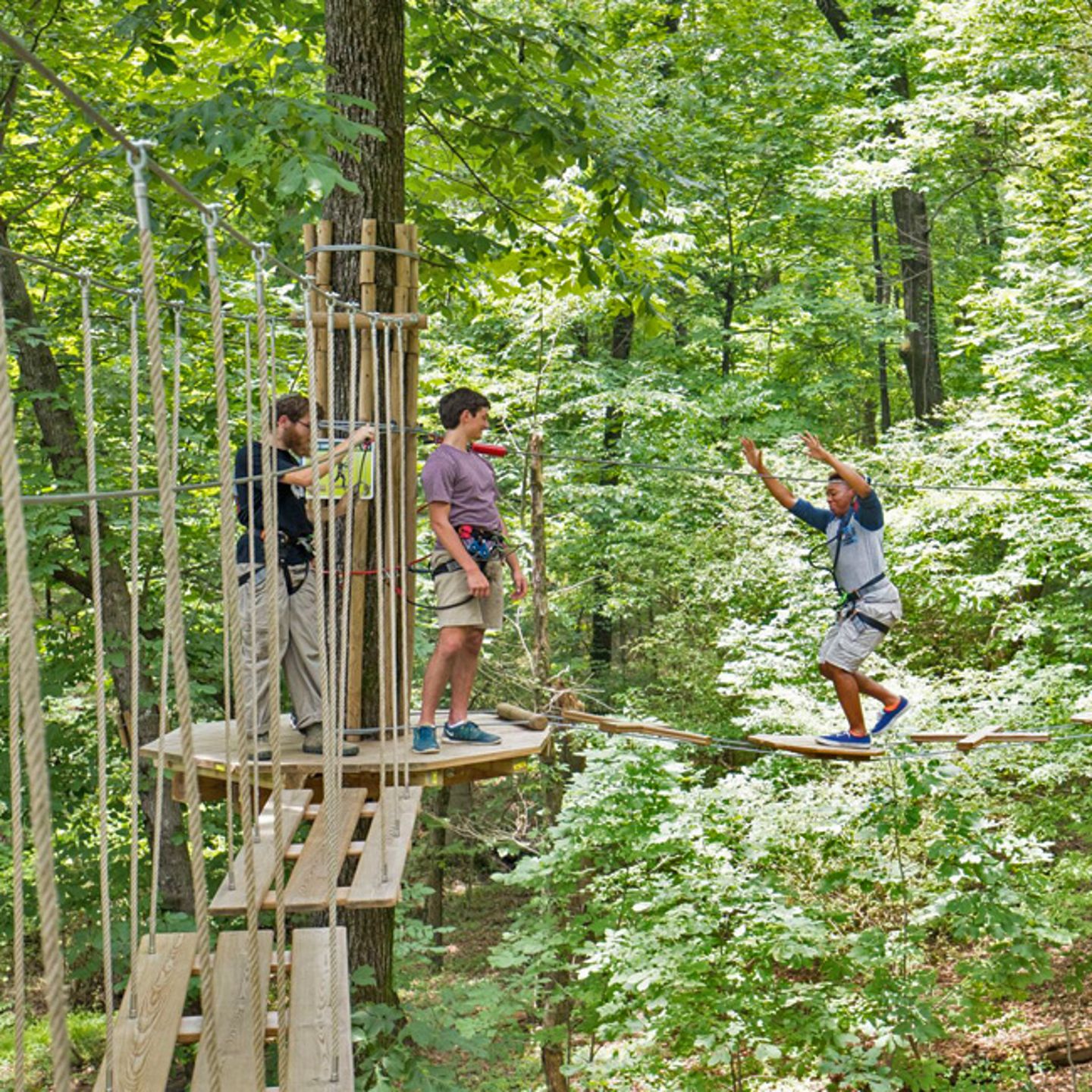 Zip Line Adventure Course