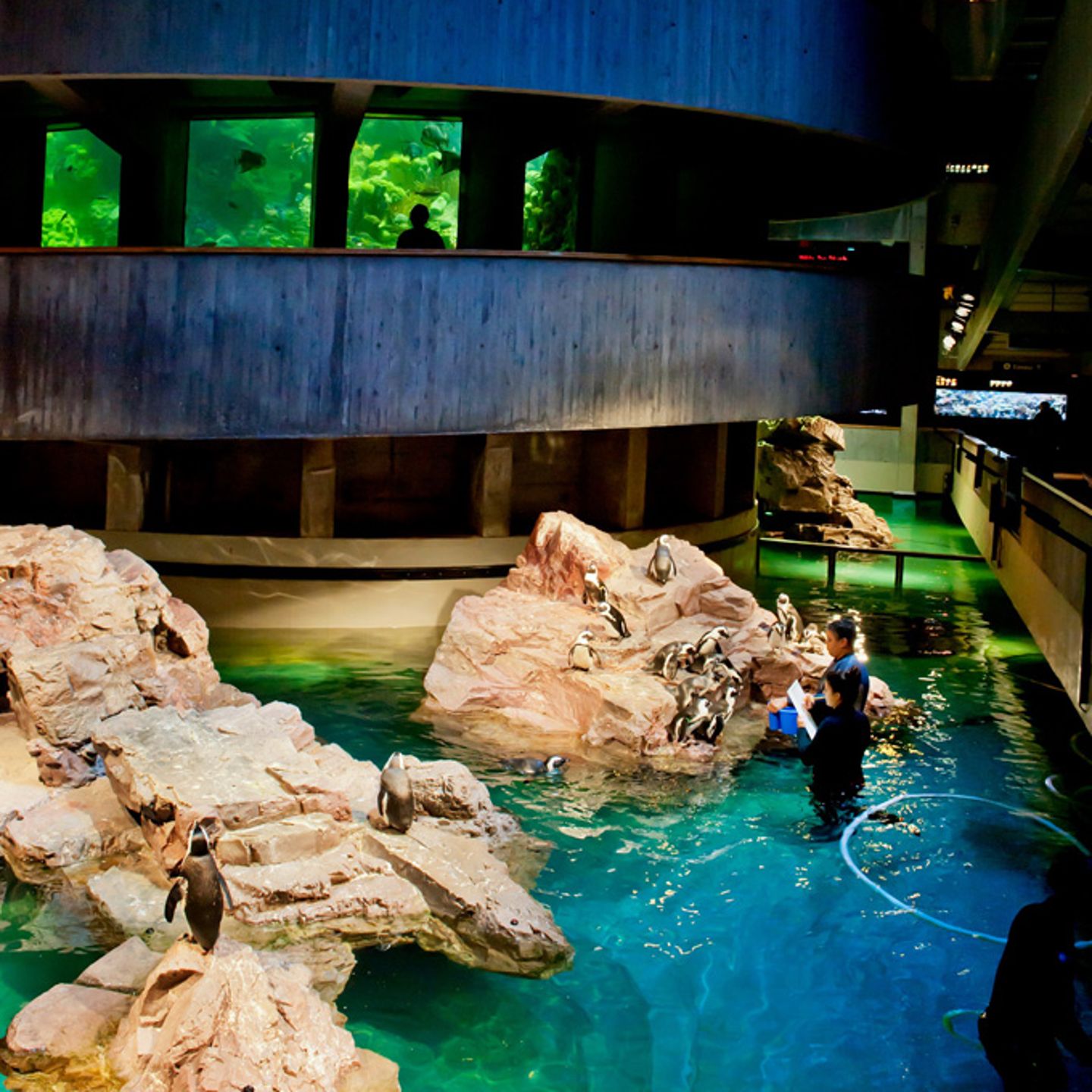 New England Aquarium
