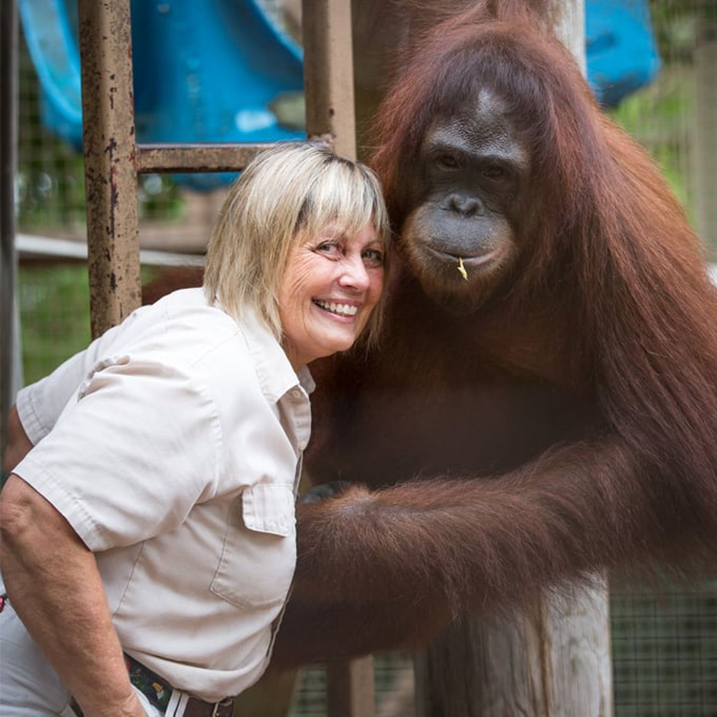 Visit Jungle Island in Miami