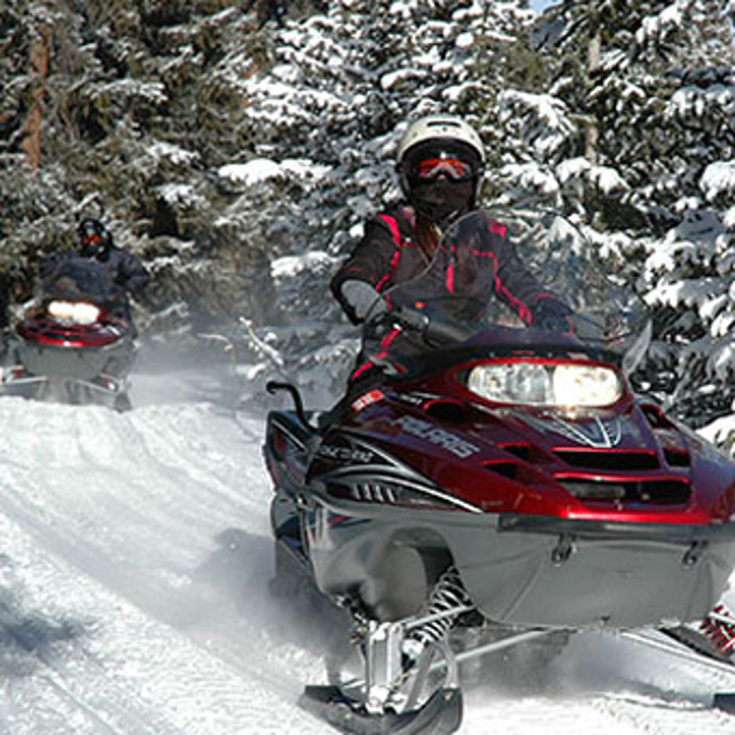 Snowmobile Adventure