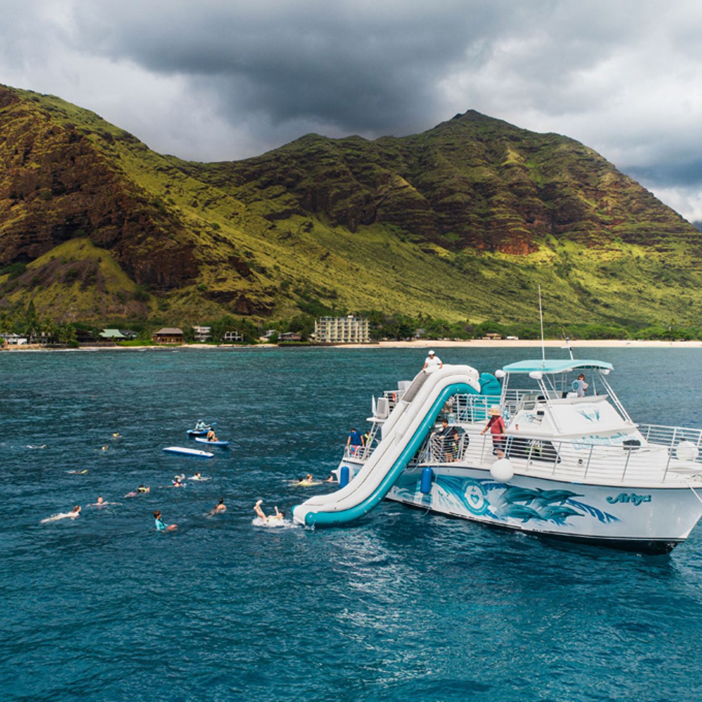 Hawaii Dolphin and Snorkel