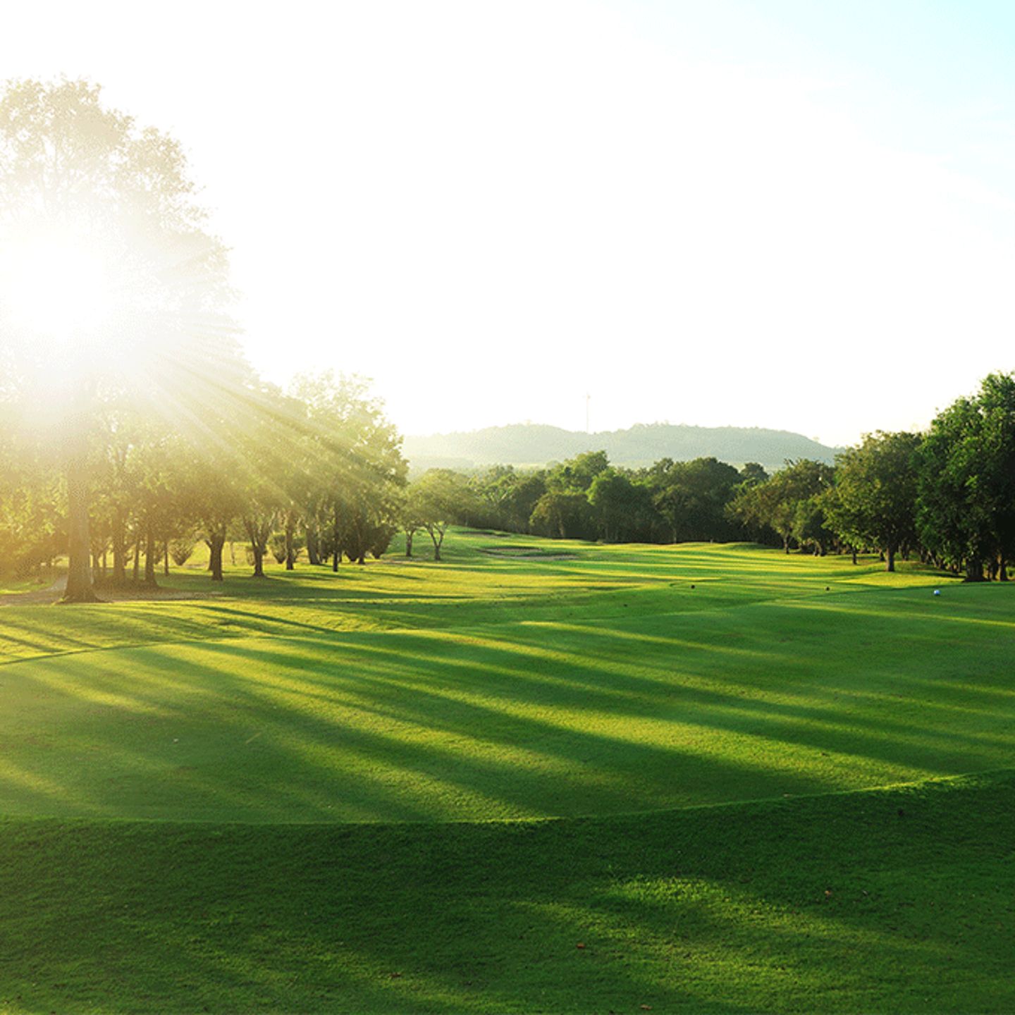 Golf Course