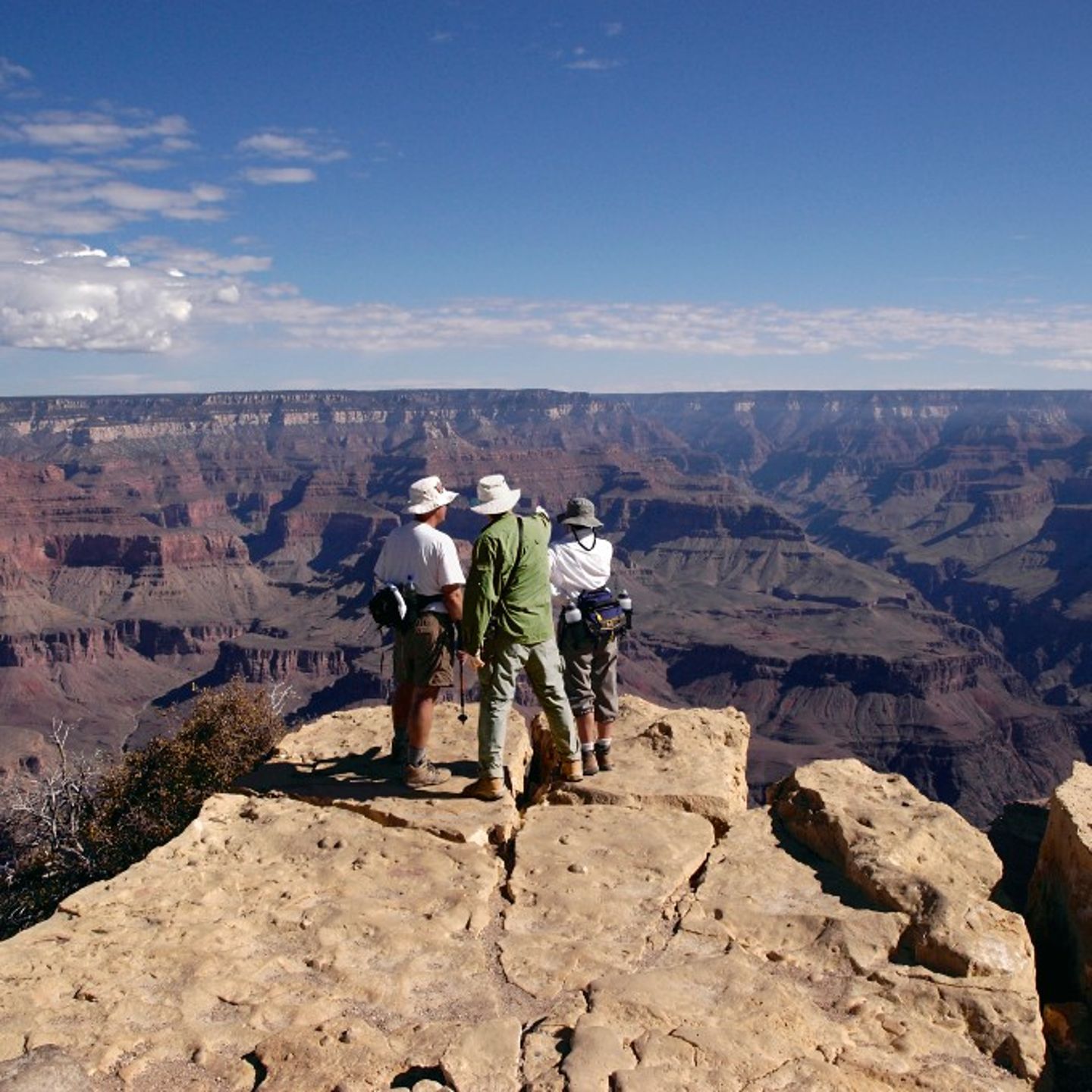 Group on ledge