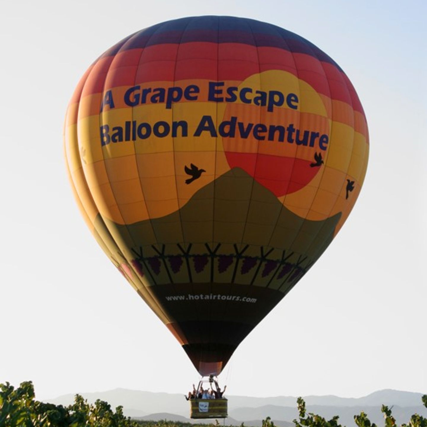 Hot air balloon