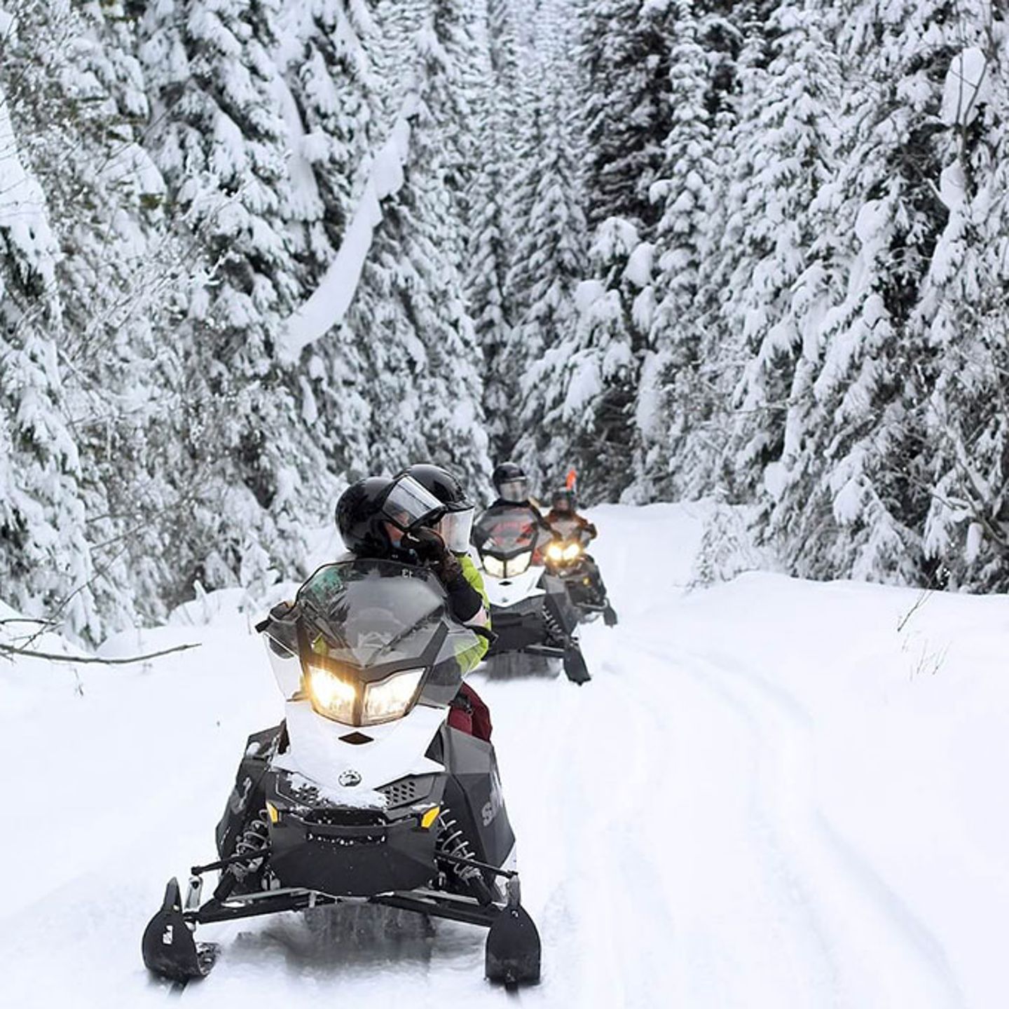 Group on Snowmobile Tour