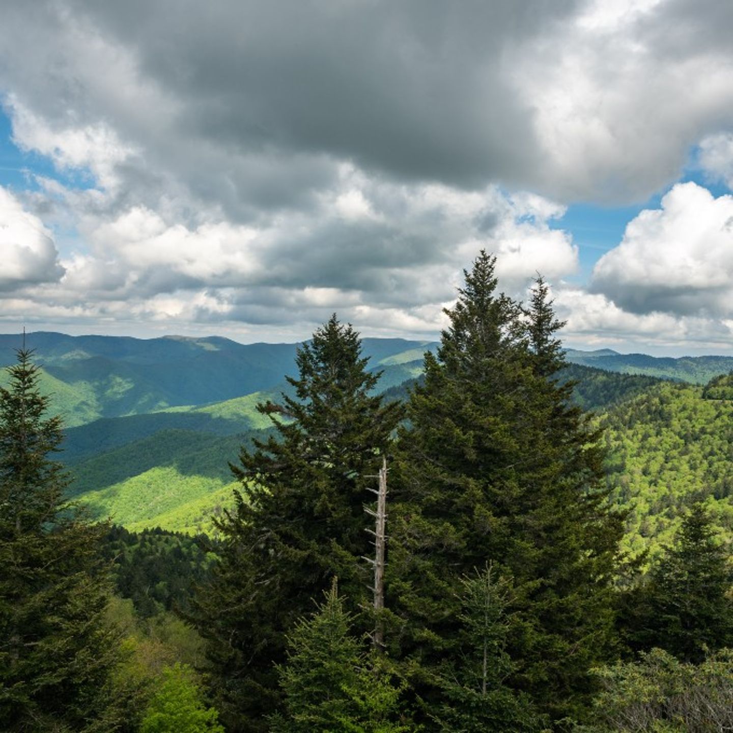 Blue Ridge Vista Hike 