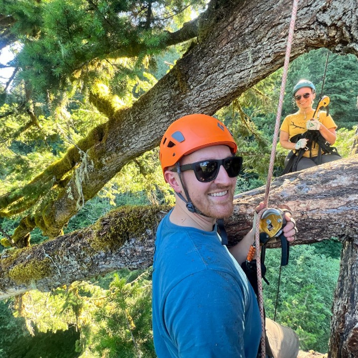 Two people posing on tree