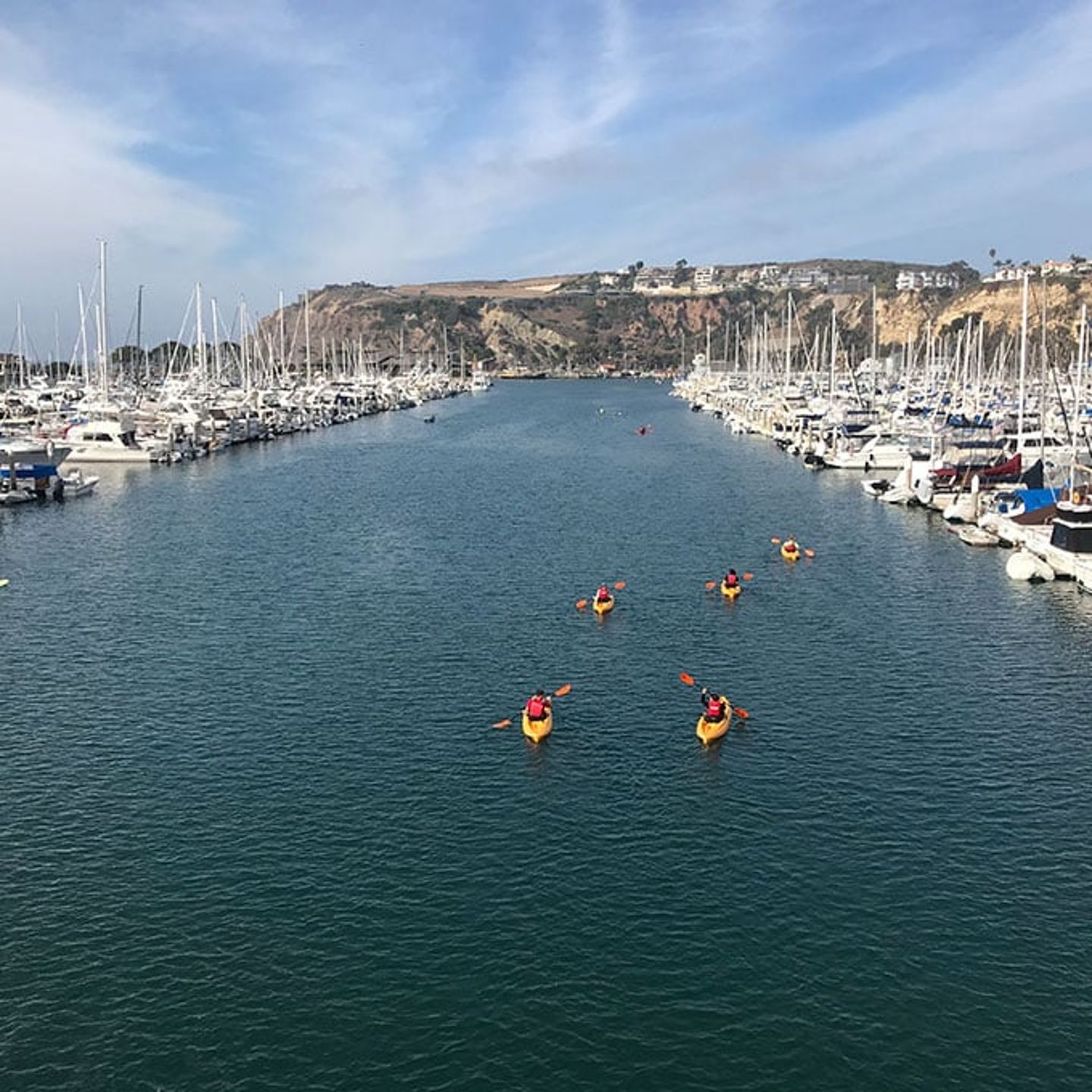 Dana Point Kayak Tour