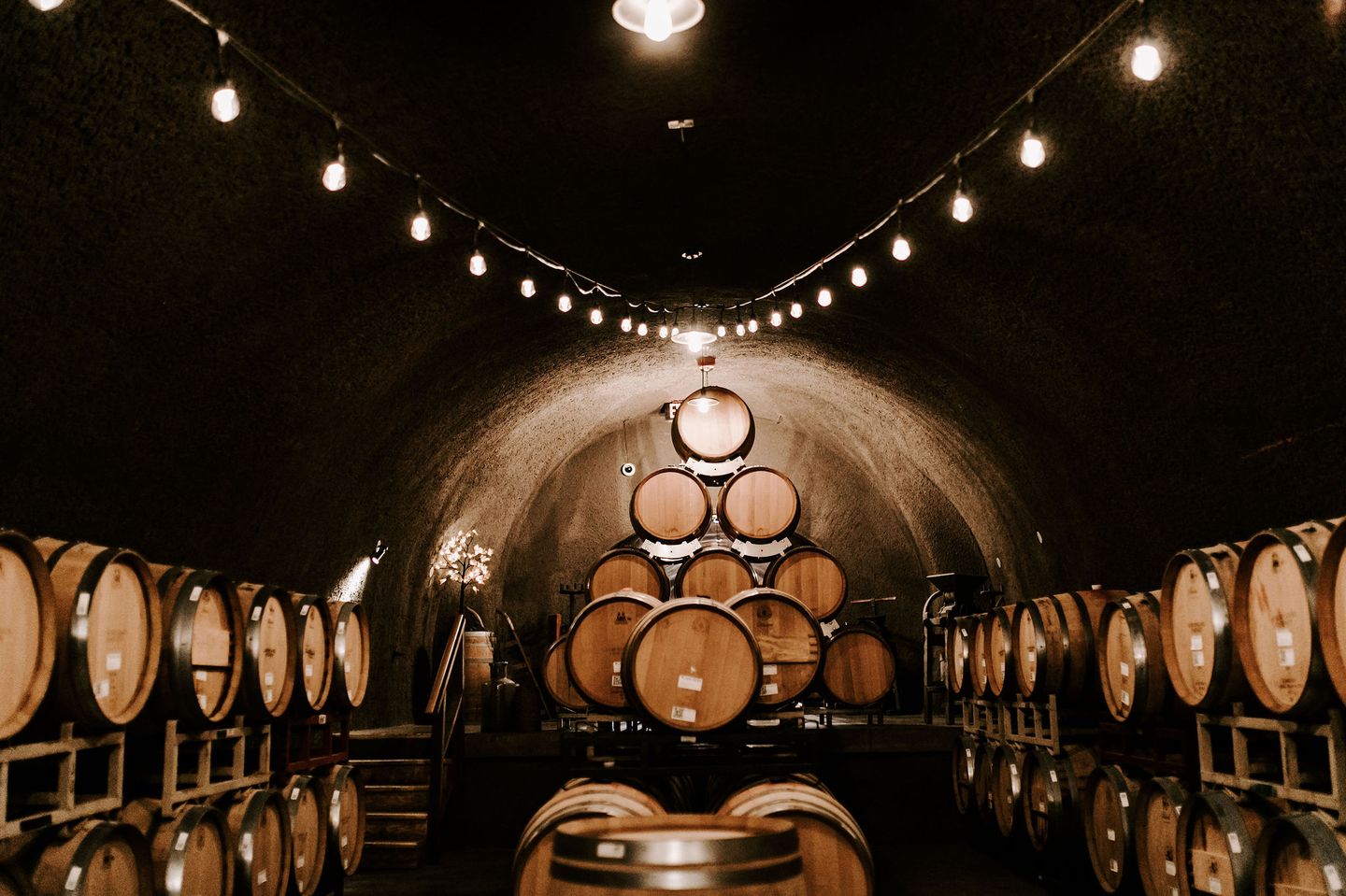 Wine barrels