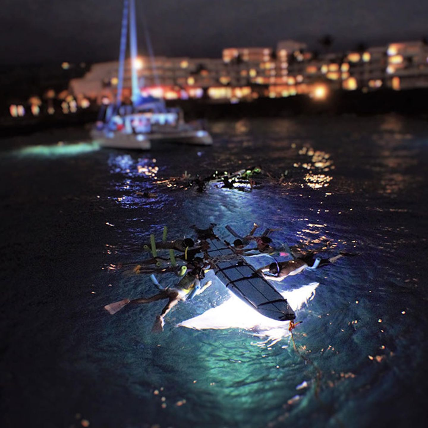 Nighttime Manta Ray Snorkel Tour