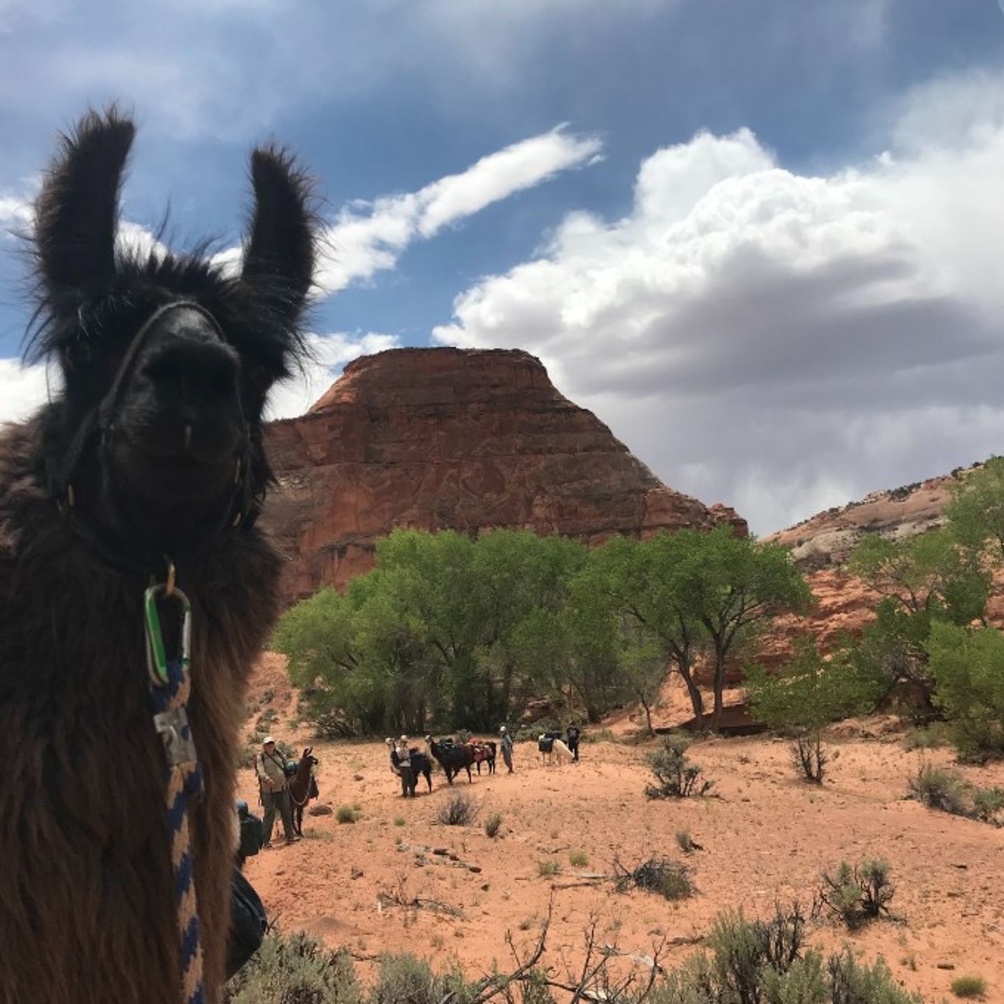 Hike in Utah