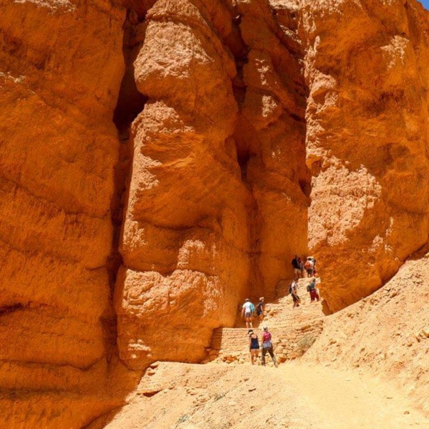 Hoodoos at Bryce Canyon