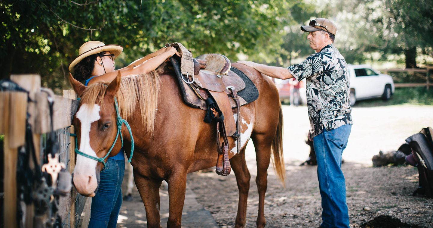 Person brushing horse
