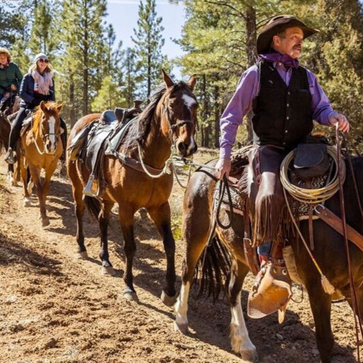 Horseback Riding Adventure