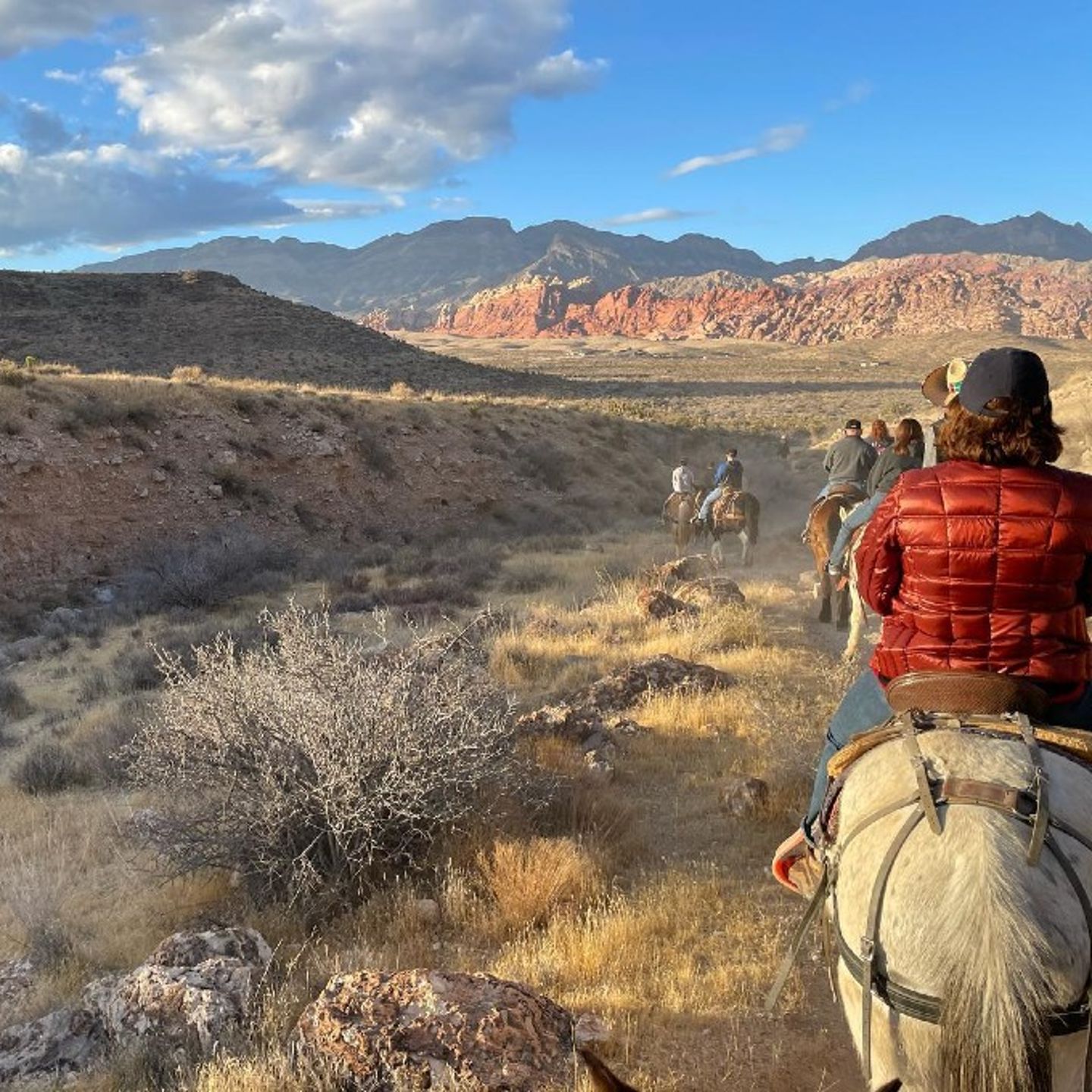 Group riding horses