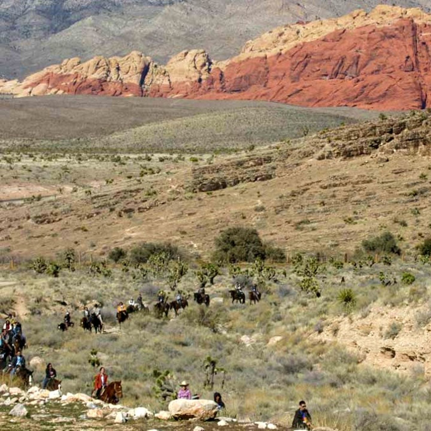Trail of horseback riding