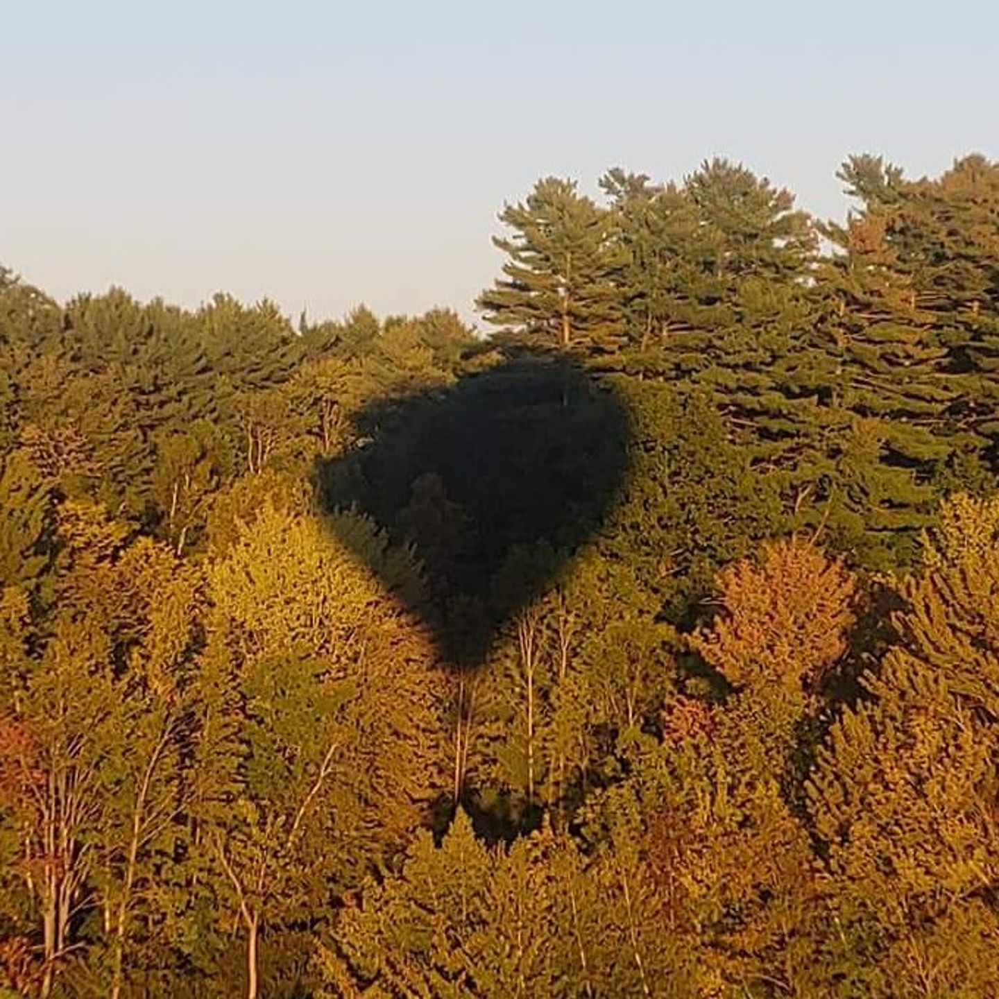 Private Hot Air Balloon Flight for 2 