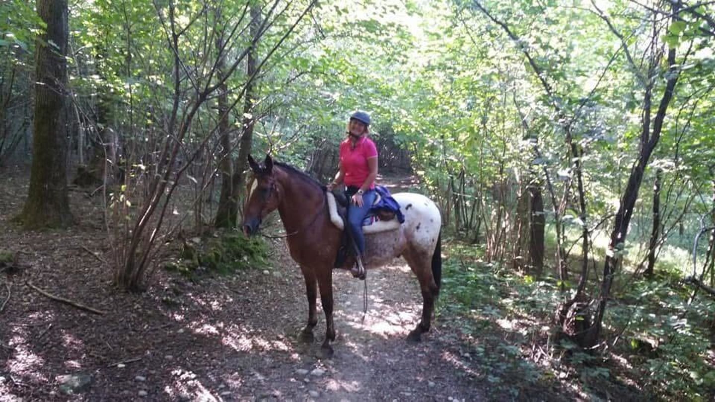 Horse on trail