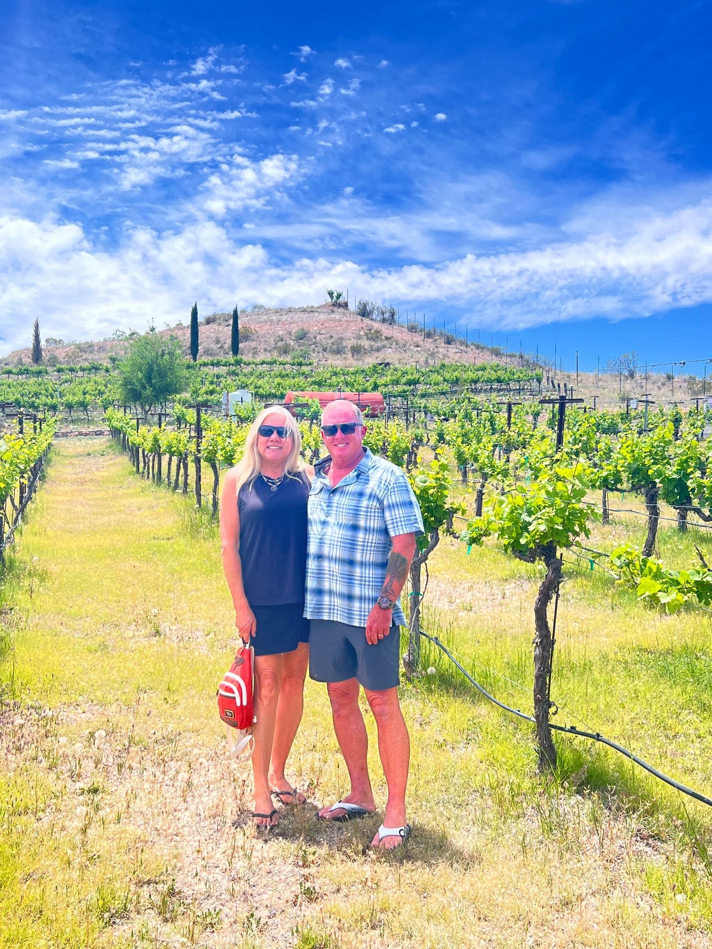 Couple in vineyard