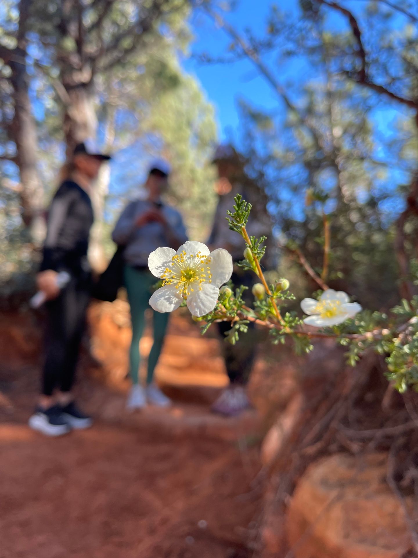 Group on hike