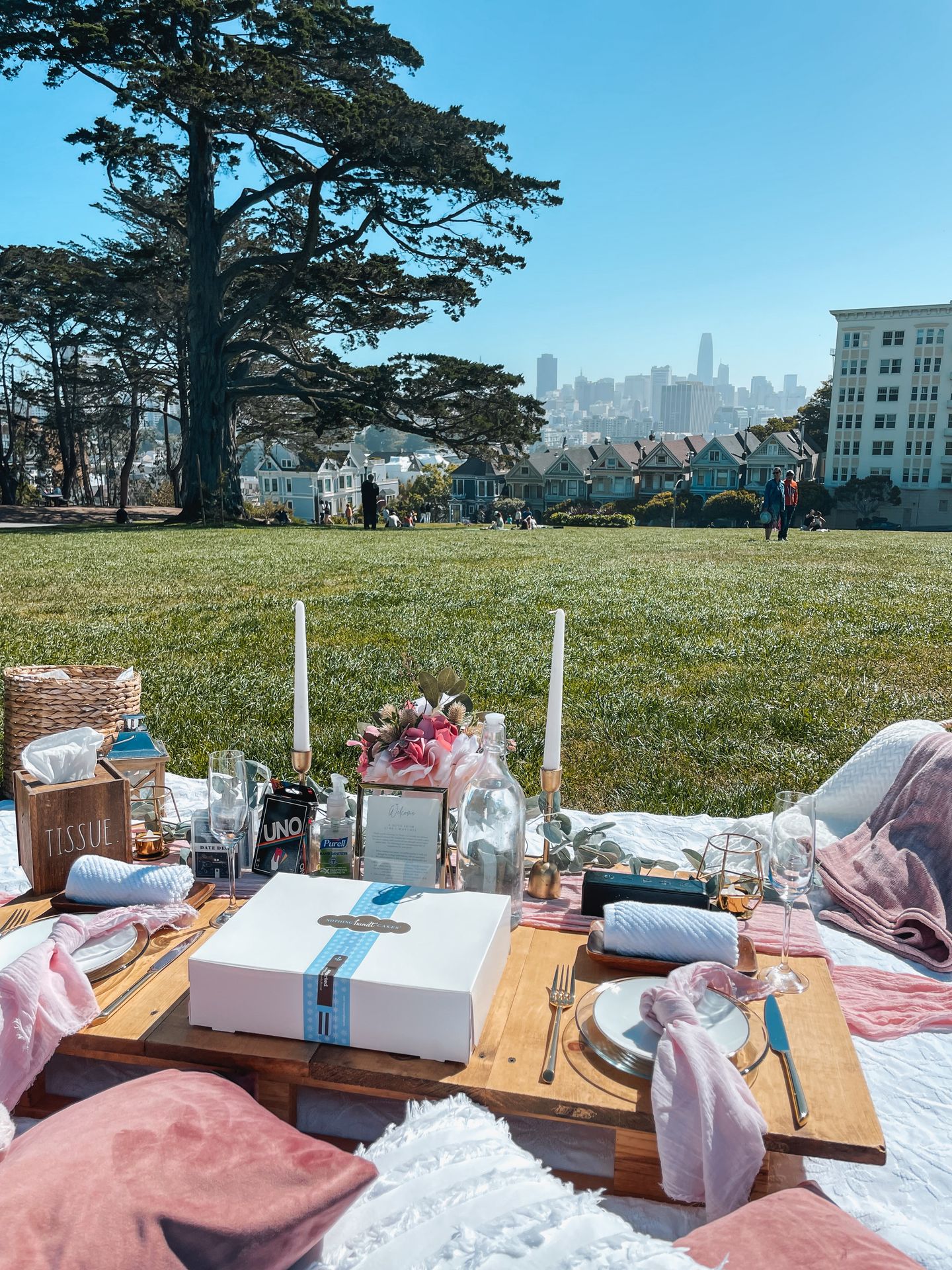 Custom Luxury Picnic Experience