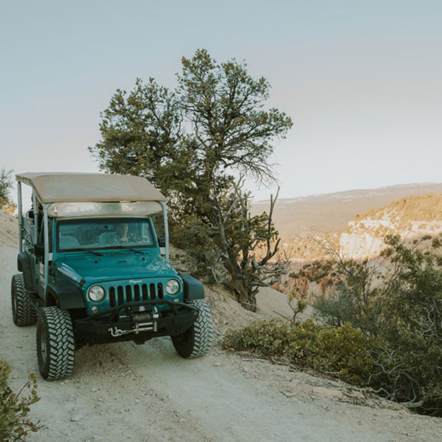 Jeep Tour