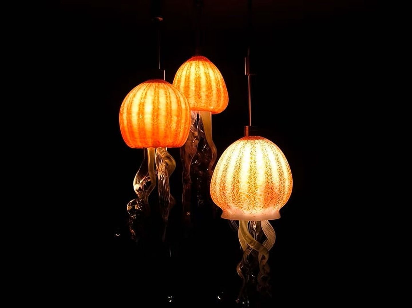 Jellyfish lamps