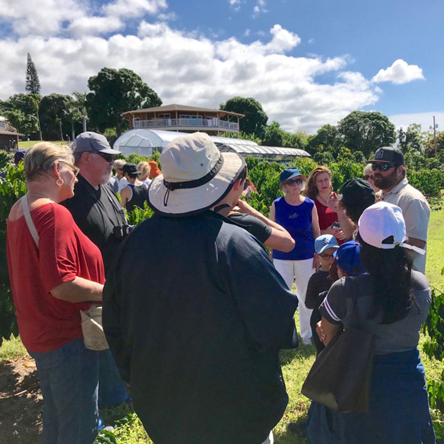 Group on Big Island Tour from Kona