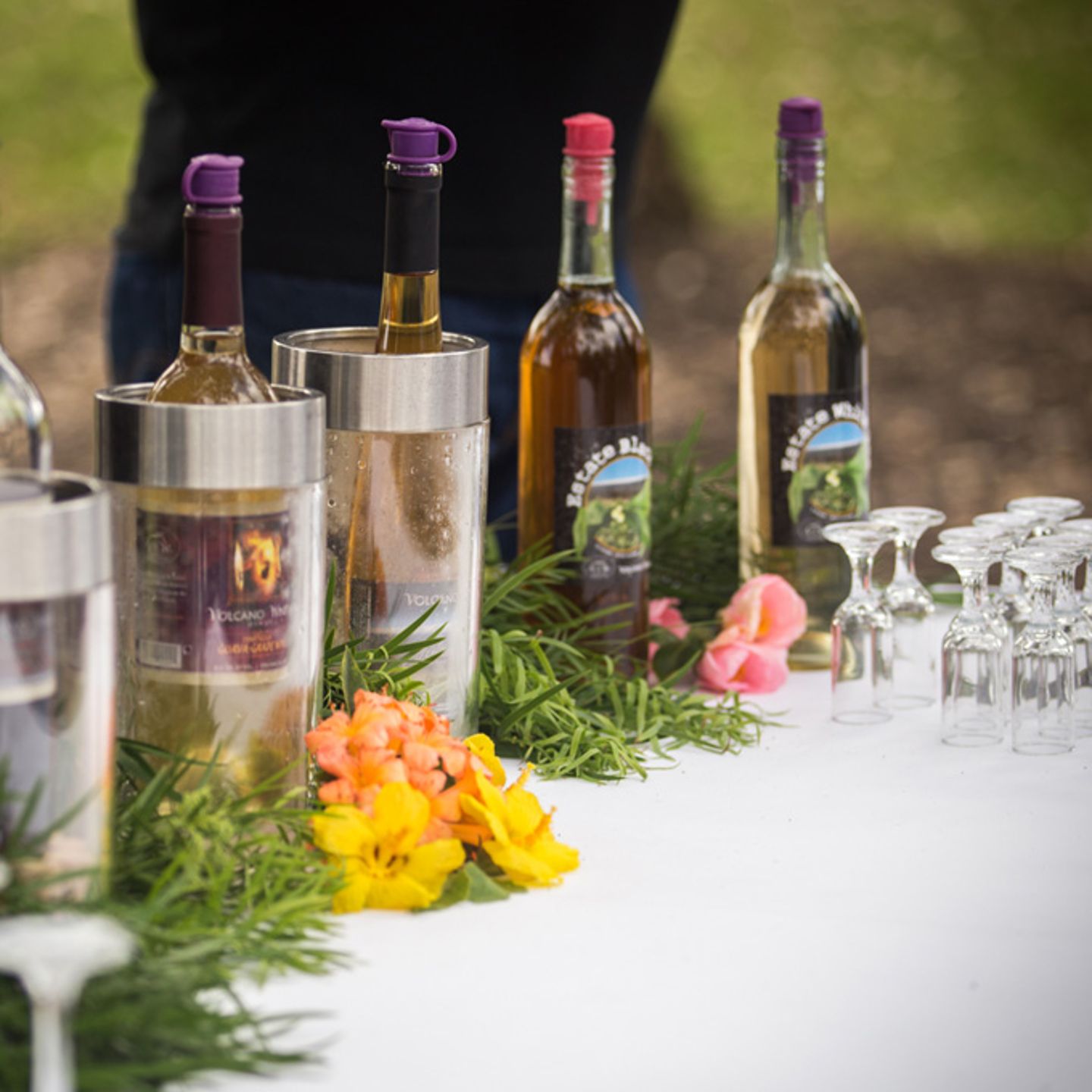 A Stop at the Winery