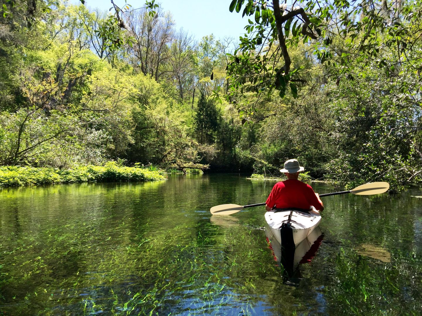 Person kayaking