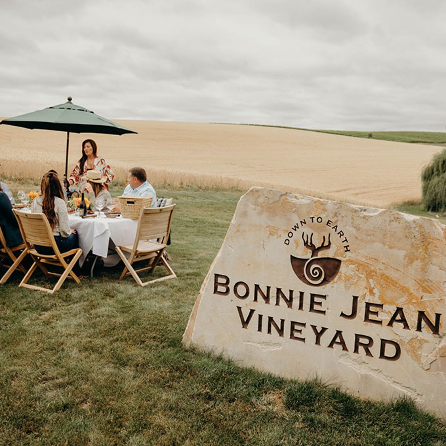 Vineyard Tour