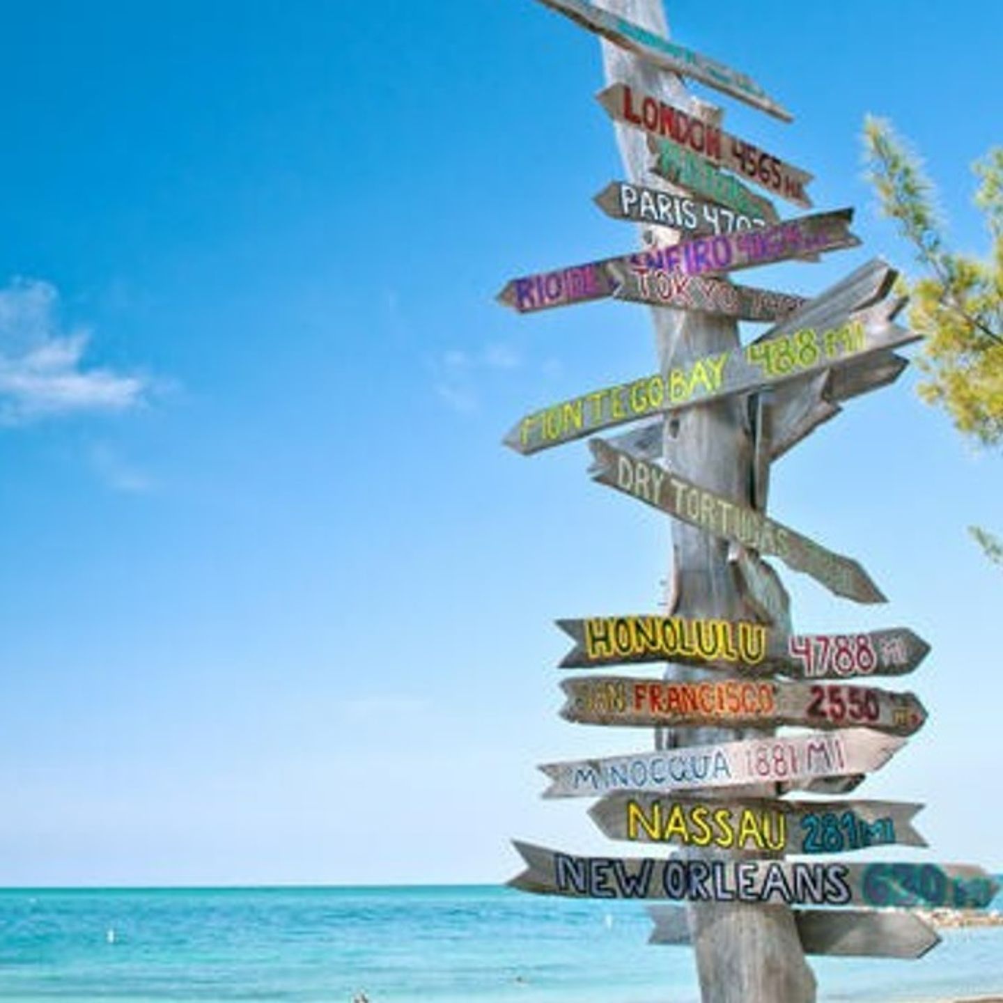 Key West Experience