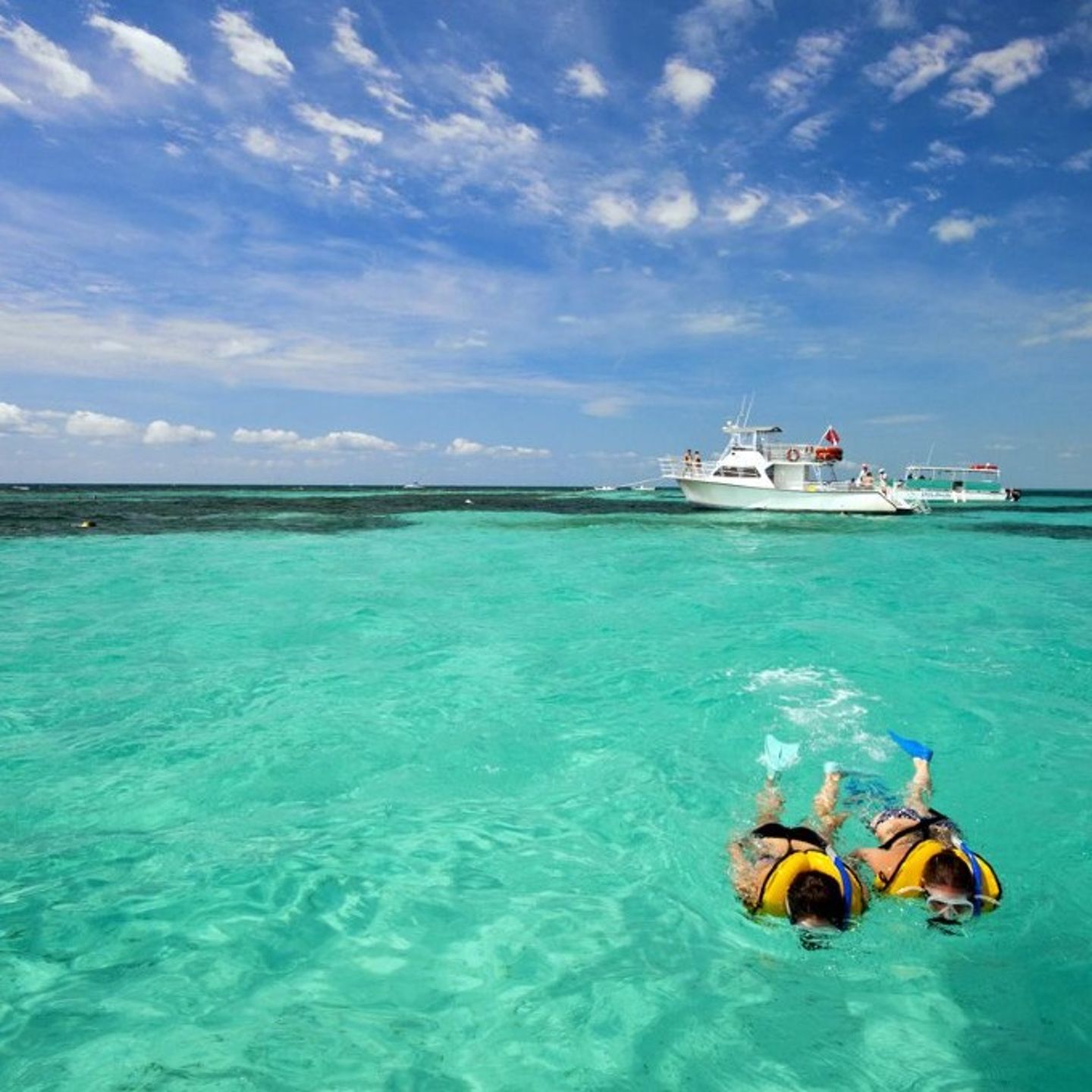 Two people snorkeling