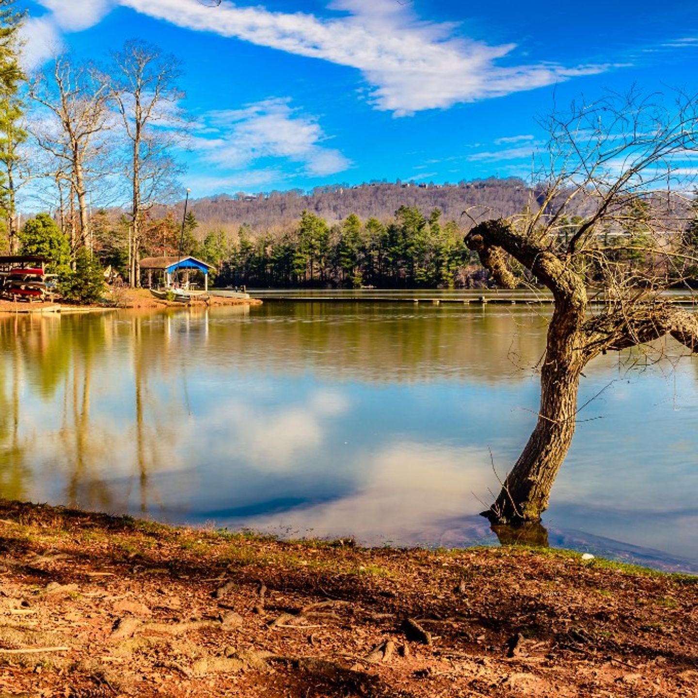 Lake Julian from shore