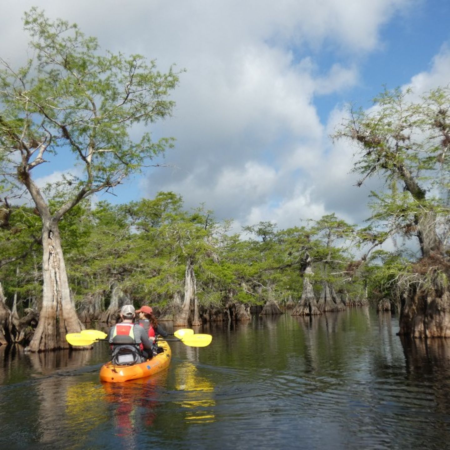 People kayaking in lake
